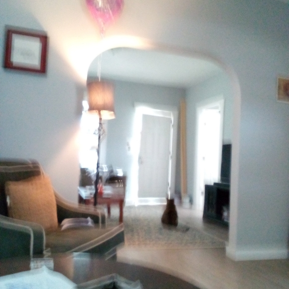 Much, much more to come!! - Picture 6 of 6